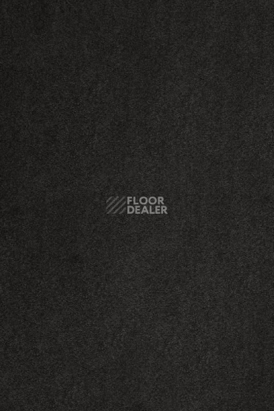 Ковролин AW Masquerade Kai 99 фото 1 | FLOORDEALER